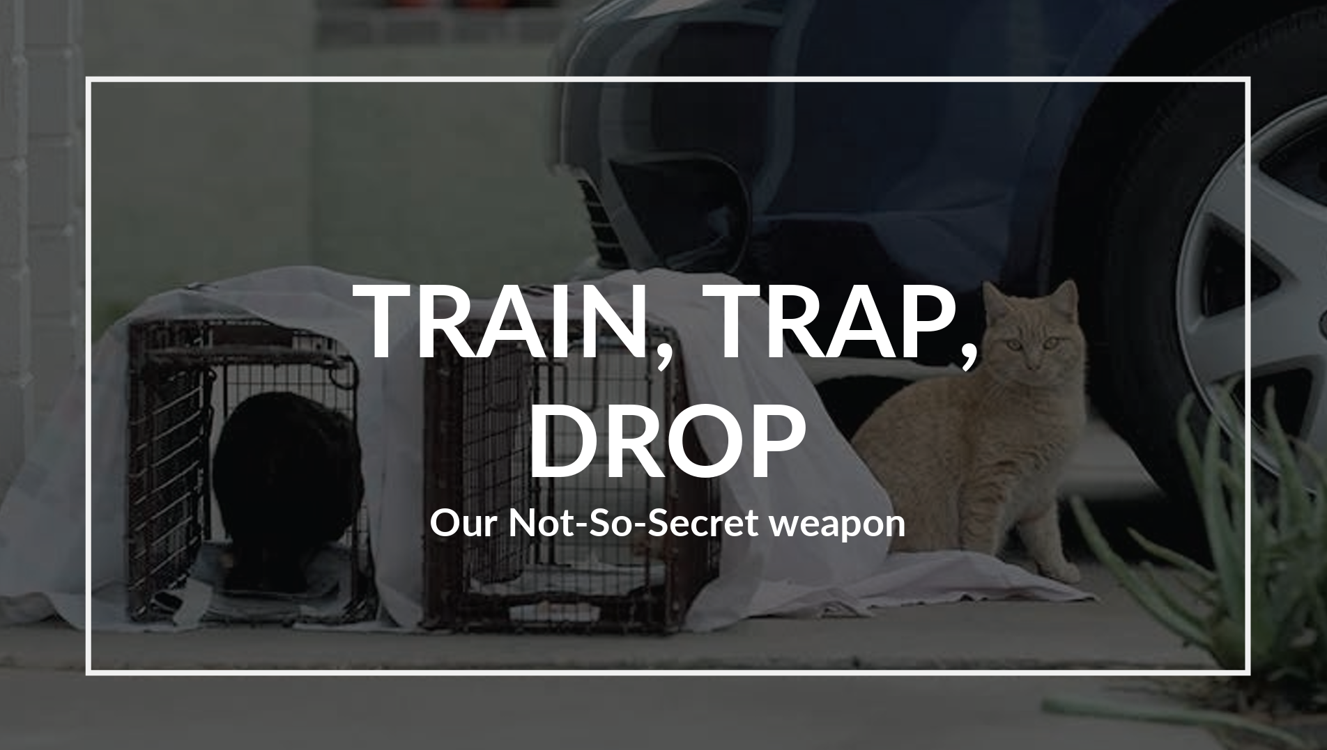 spay_la_train_trap_drop